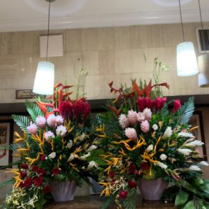 Single Tropical Arrangements