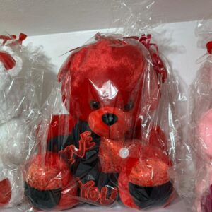 Teddy Bear
